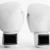 Winning Model Leather Boxing Gloves