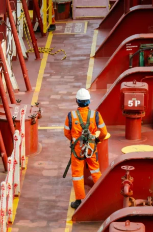 6818f8ddc195fd0093f0758b_lg 100% Cotton Dyed Workwear Bib & Brace