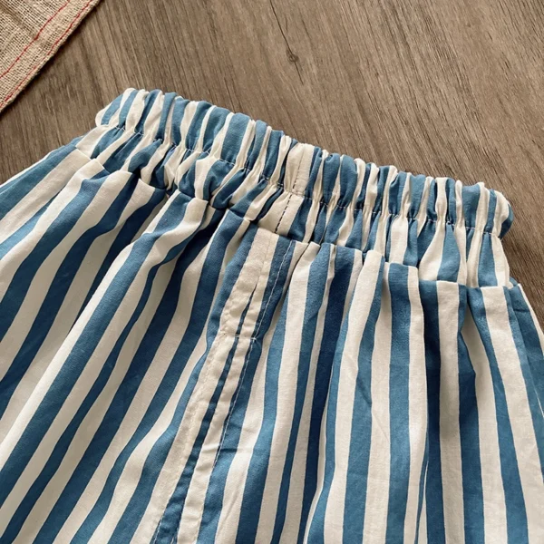 Chic Blue And White Striped Pants