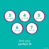 Pampers Cruisers 360 Diapers, Sizes 4-7