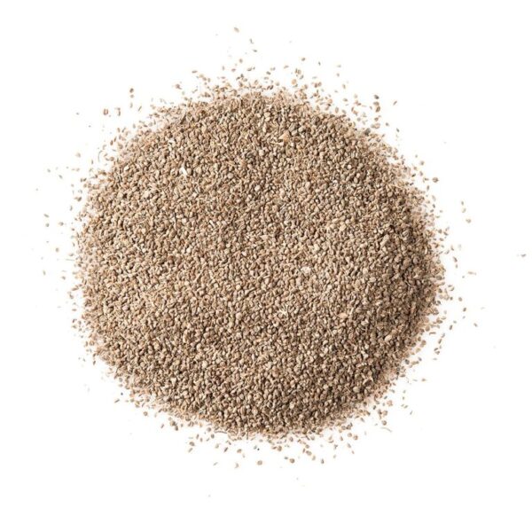 celery-seed-whole-768x768 Celery Seed Whole