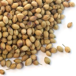 Coriander Seed (Extra Bold)