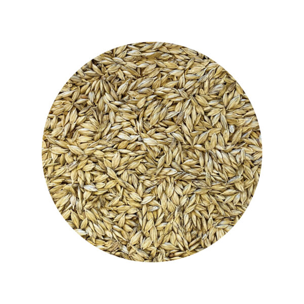 ORGANIC DICOCCUM SPELT 100% organic spelt farmed in italy