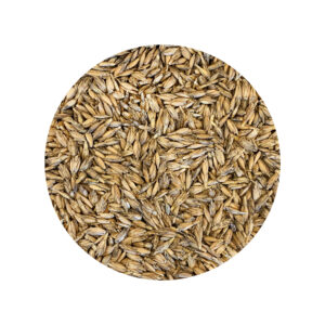 ORGANIC SPELT 100% organic spelt farmed in italy