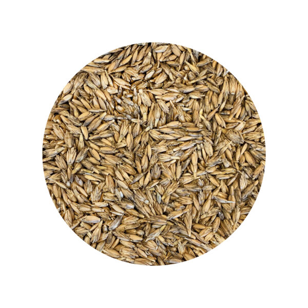 ORGANIC SPELT 100% organic spelt farmed in italy