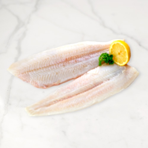 Fillet of Sole