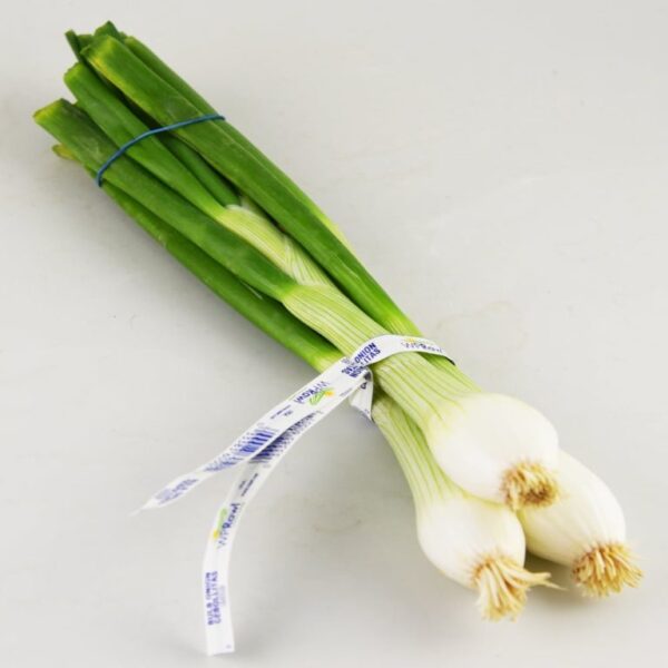 Fresh BBQ Green Onions Bunch, Each