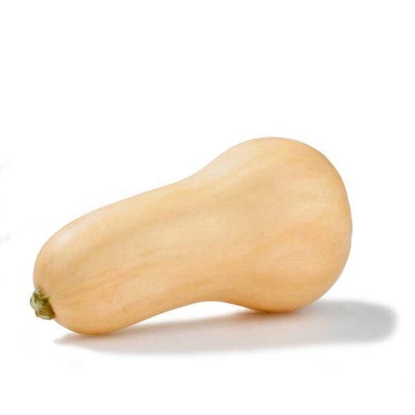fresh-butternut-squash-each-1-768x768 Fresh Butternut Squash, Each