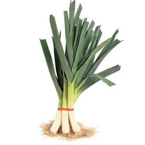 fresh-leeks-bunch-each-1-768x768 Fresh Leeks Bunch, Each
