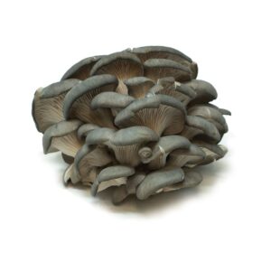 fresh-oyster-mushrooms-35-oz-1-768x768 Fresh Oyster Mushrooms, 3.5 oz