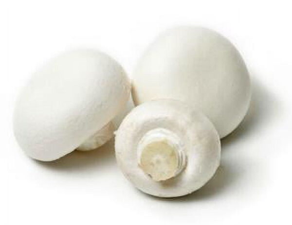 Fresh Whole White Mushrooms, Bulk