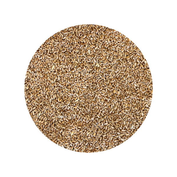 ORGANIC SOFT WHEAT 100% organic durum wheat farmed in italy