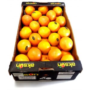 Grapefruit Star Ruby Big Box x36