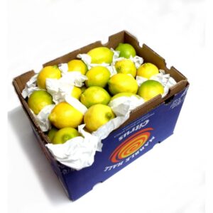 Lemons Export Quality Big Box 15kg