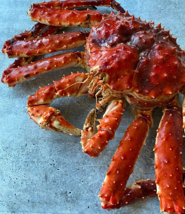 Live Norwegian Red King Crab