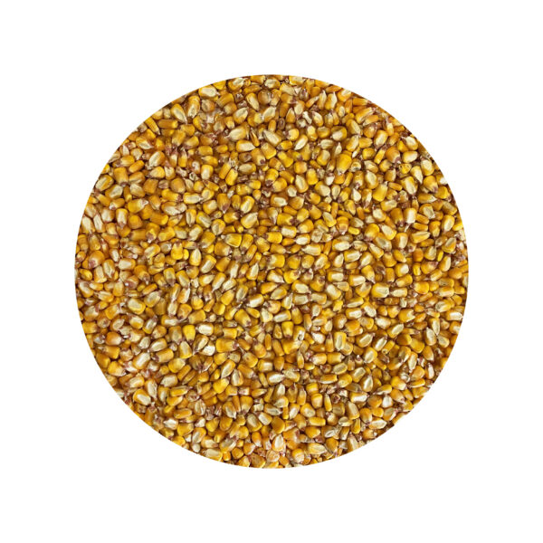 ORGANIC CORN 100% organic durum wheat farmed in italy