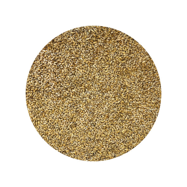 ORGANIC BARLEY 100% organic durum wheat farmed in italy