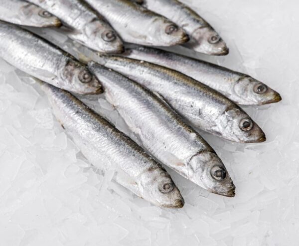 Sardines 1kg
