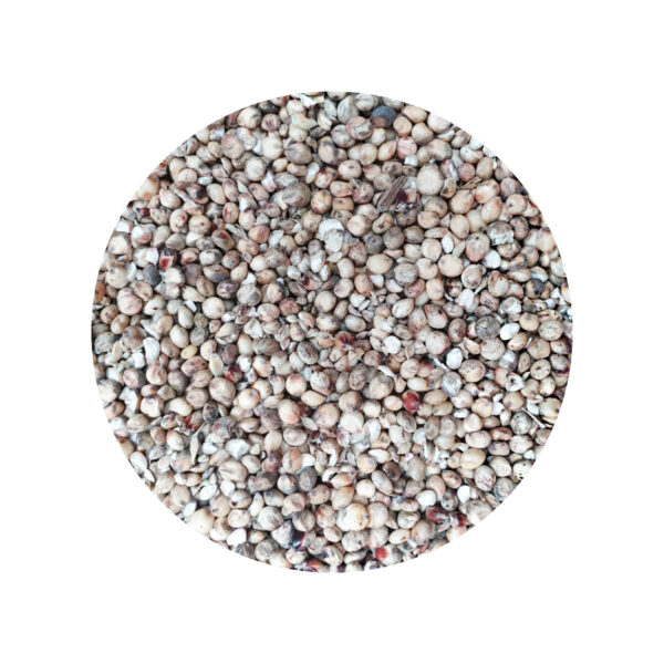 ORGANIC SORGHUM 100% organic durum wheat farmed in italy