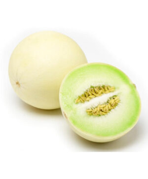 sweet-melon Sweet Melon