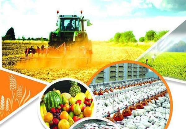 AGRICULTURAL PRODUCTS